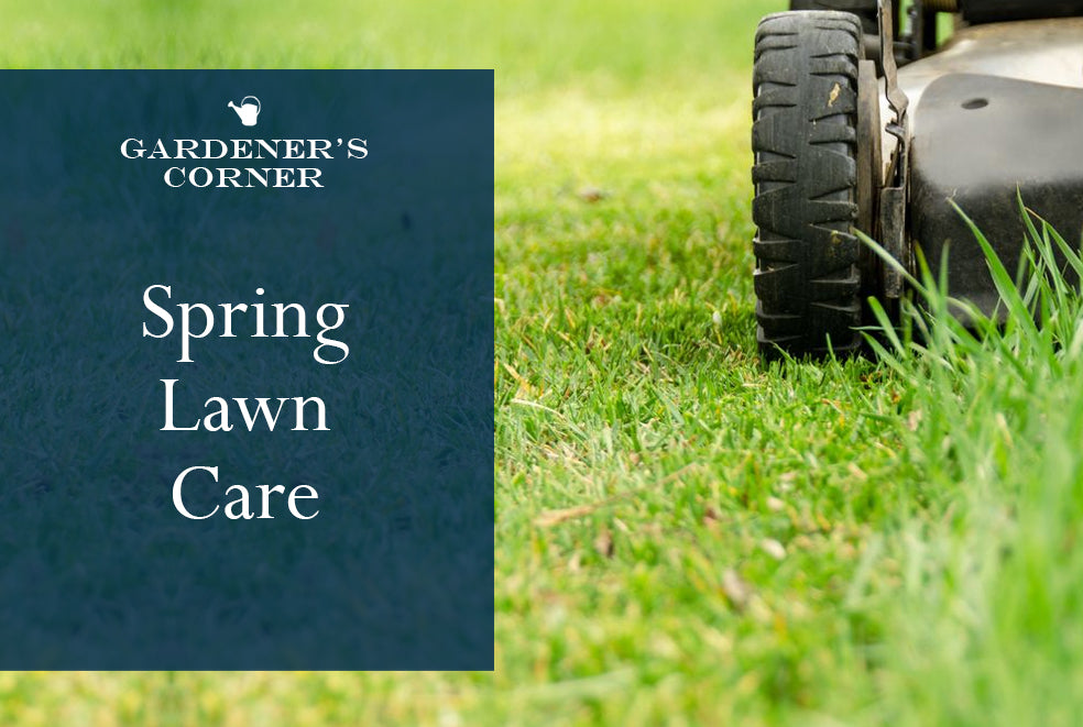 Spring Lawn Care