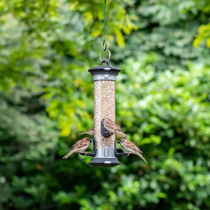 Apollo 4 Port Bird Seed Feeder