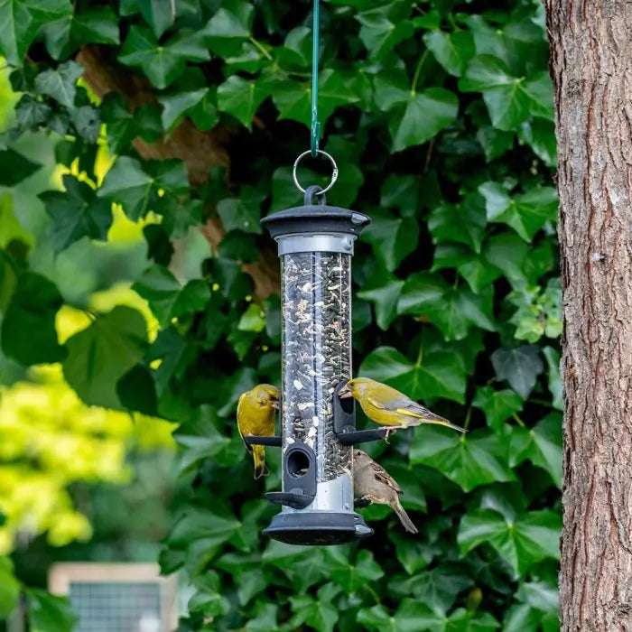 Apollo 4 Port Bird Seed Feeder