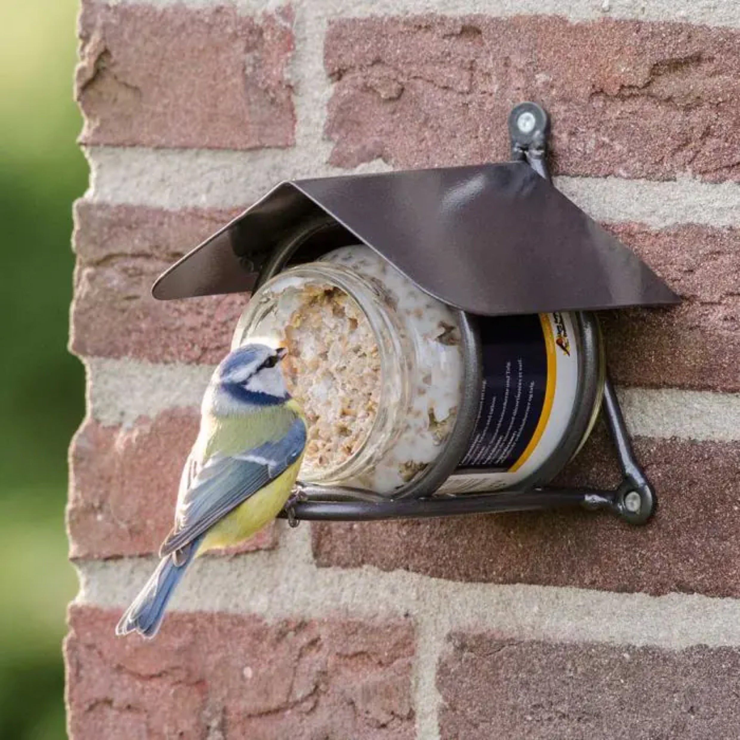 Wicklow Peanut Butter Feeder