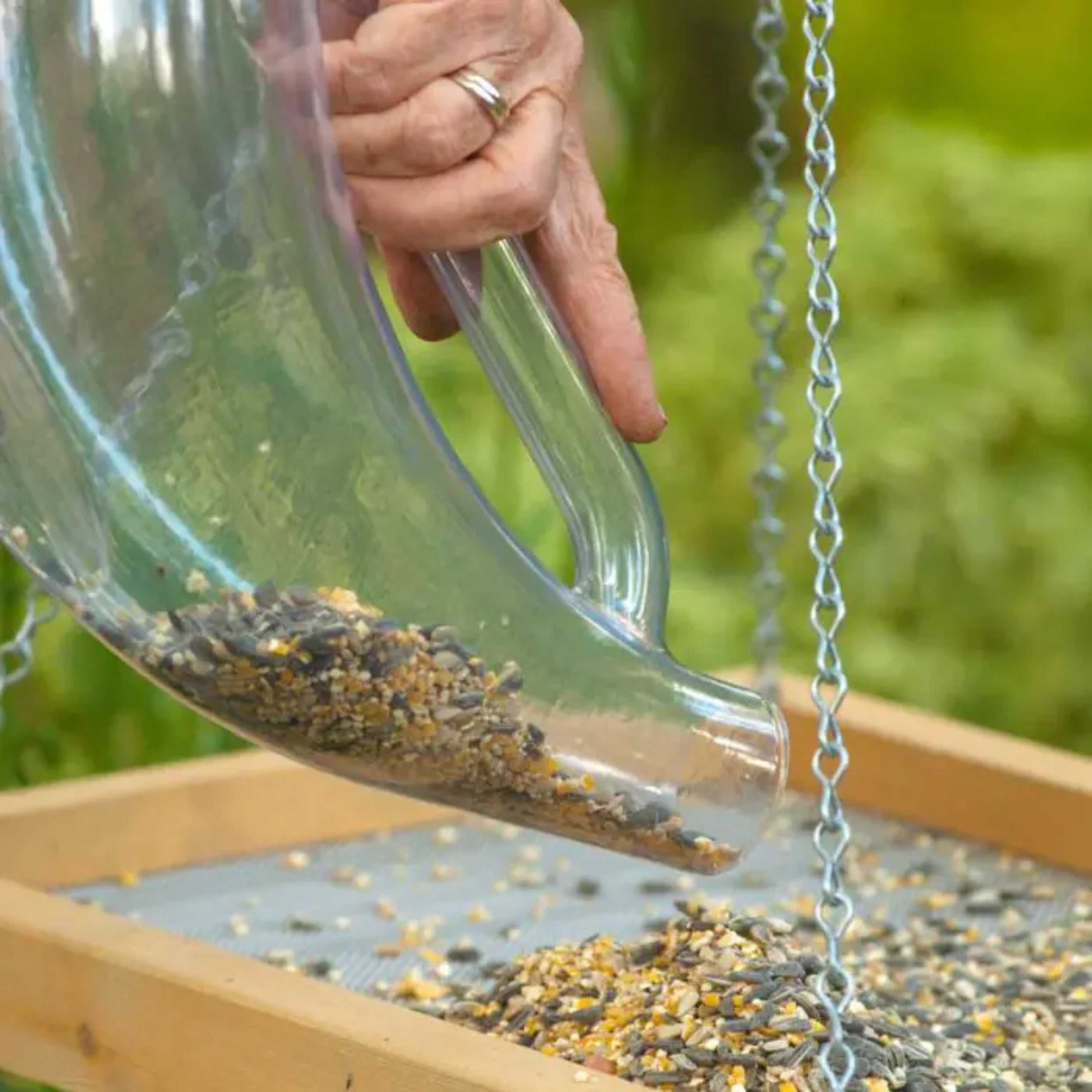 Bird Food Scoop