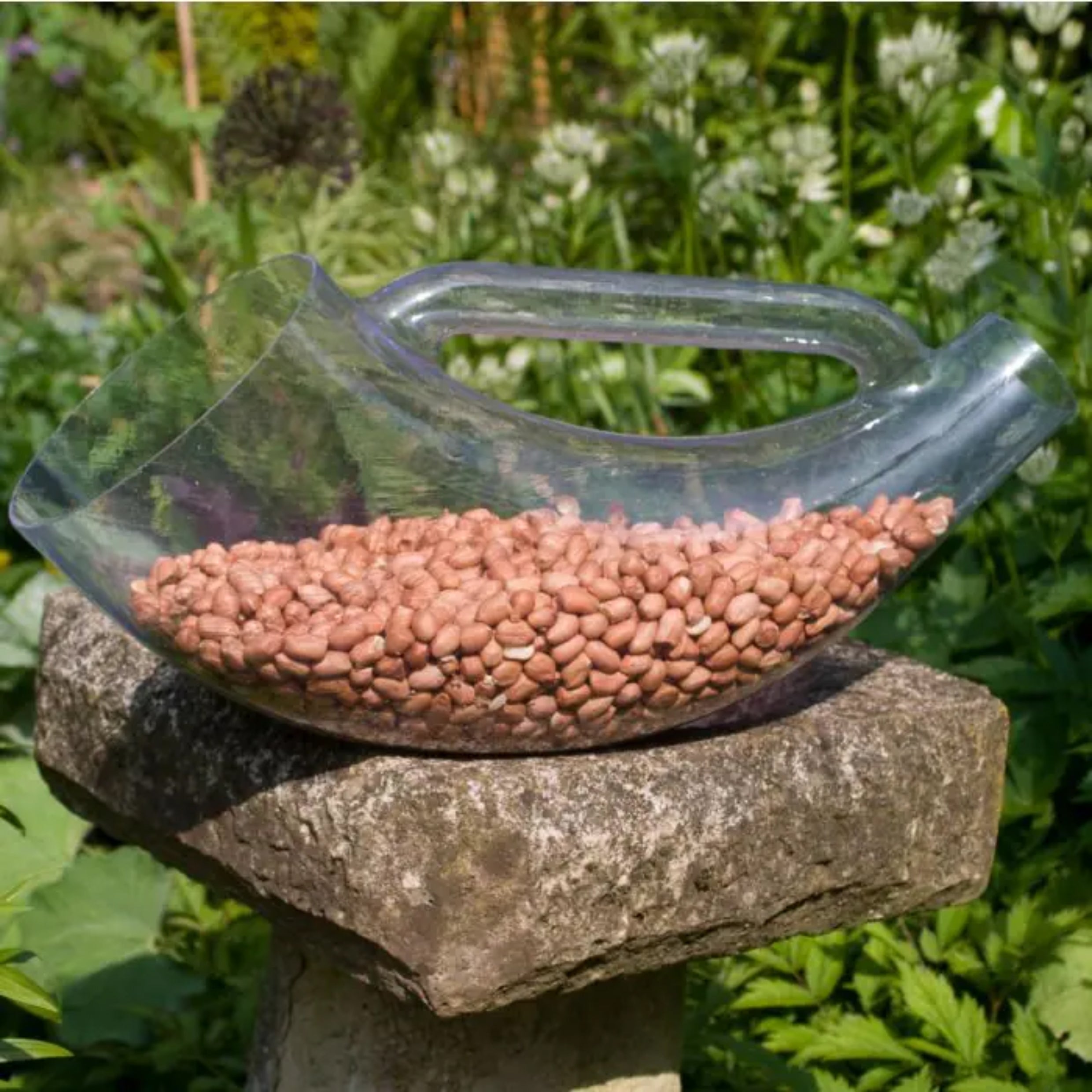 Bird Food Scoop