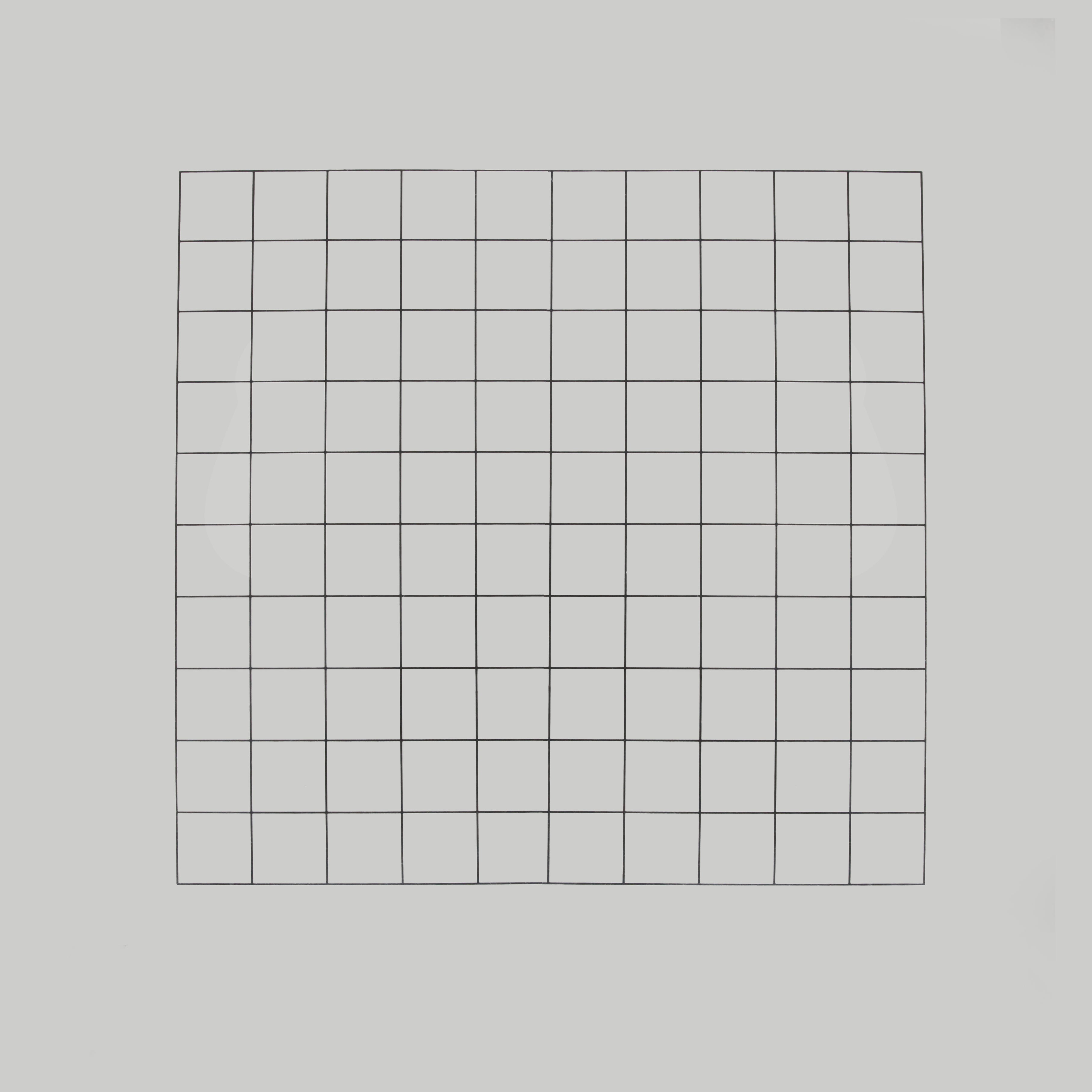 Large Transparent Blank Grid