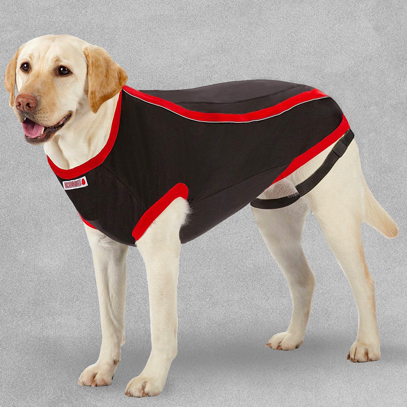 Kong Anxiety Reducing Dog Shirt For Anxious Dogs - all sizes