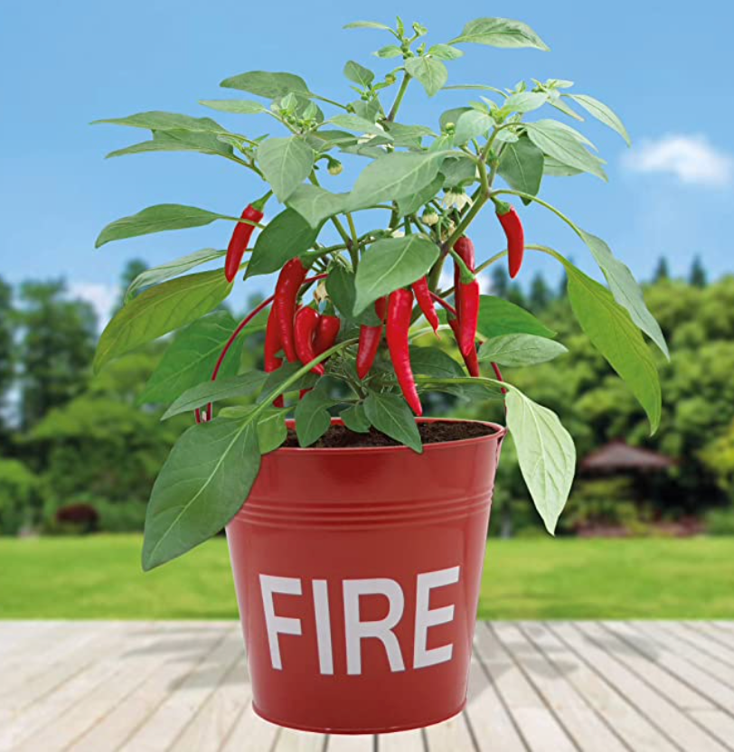 Decorative Metal Fire Bucket Planter