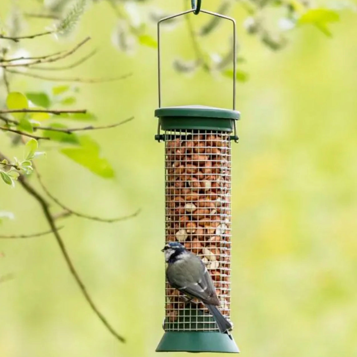 Peanut Plastic Bird Feeder