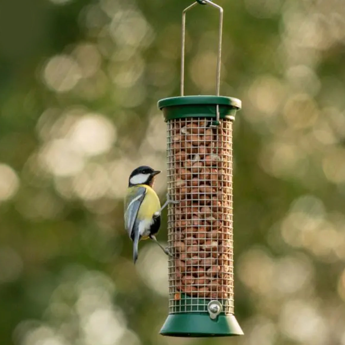 Peanut Plastic Bird Feeder