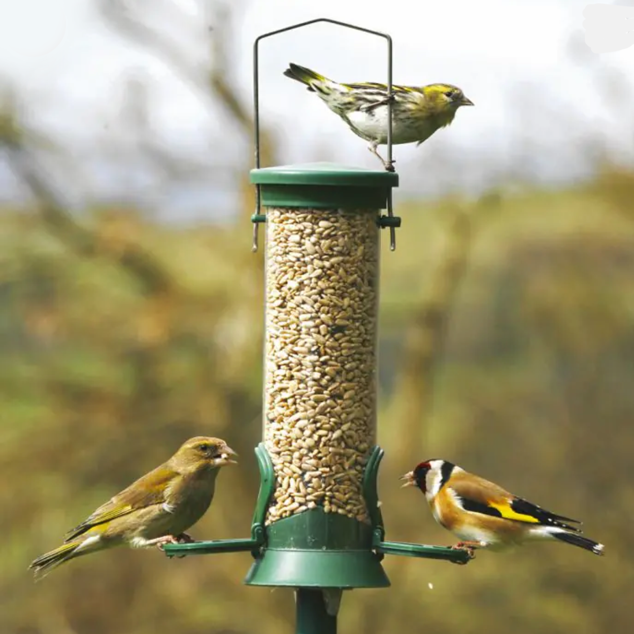 Seed Plastic Bird Feeder