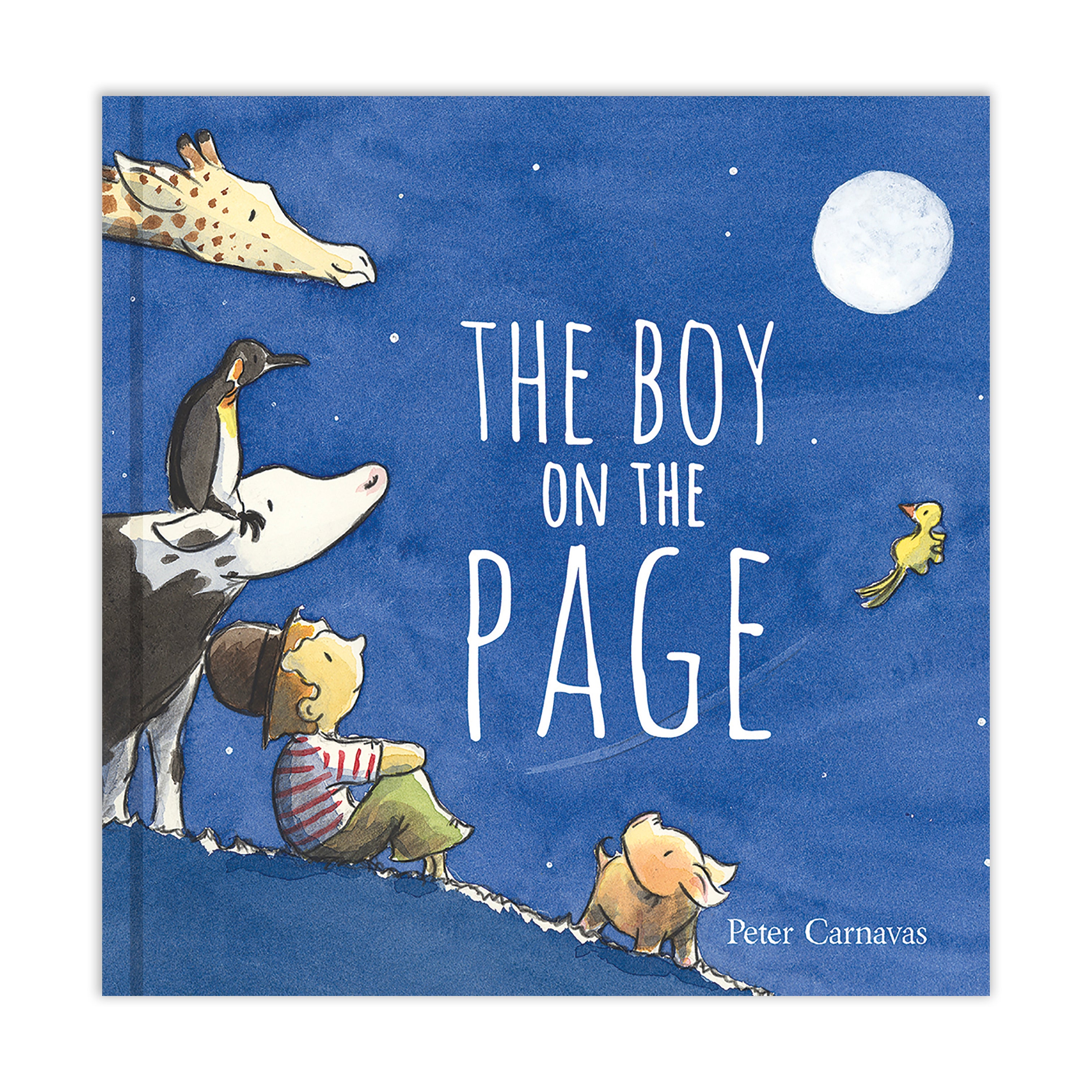 The Boy on the Page by Peter Carnavas