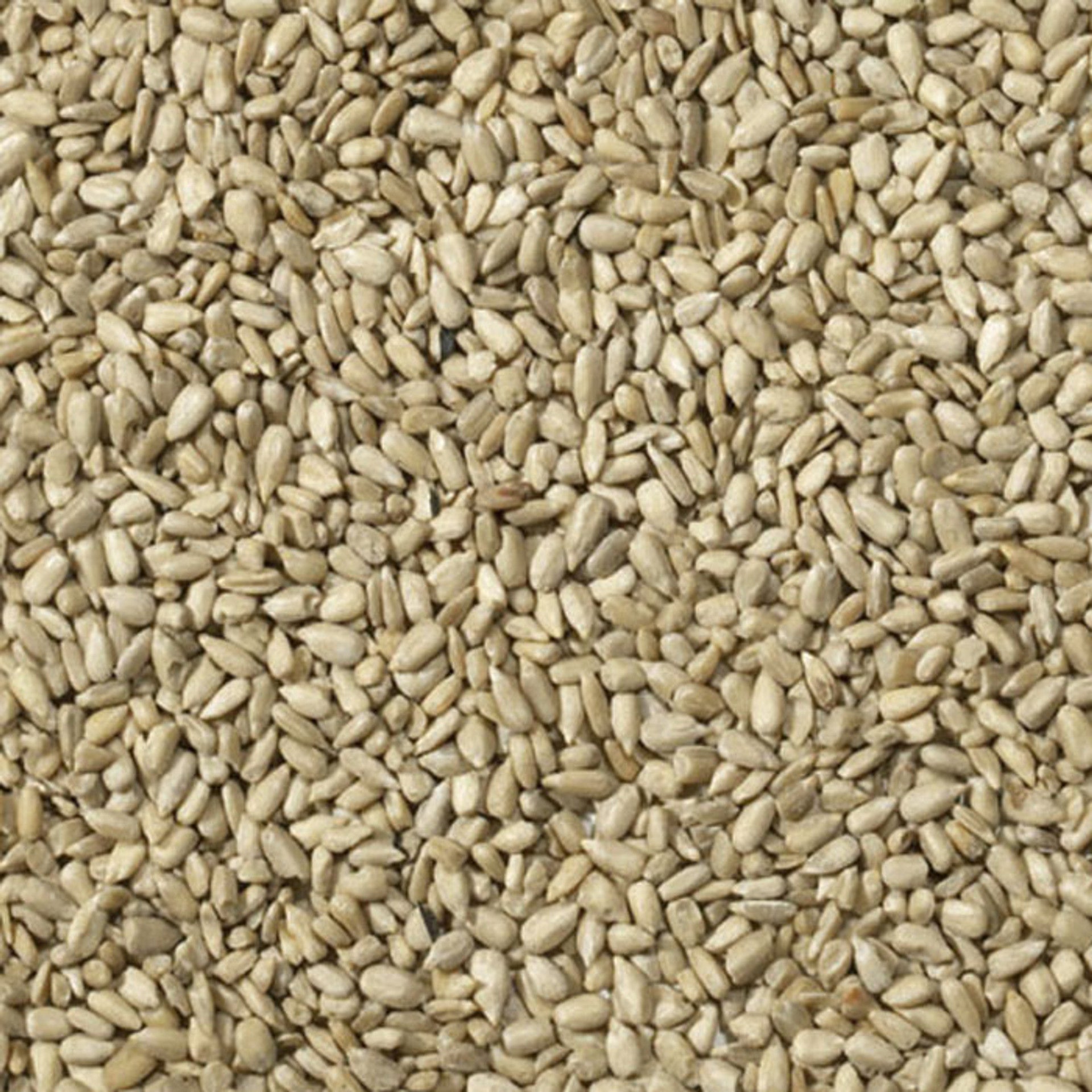 Johnston & Jeff Sunflower Hearts 1kg Bird Food