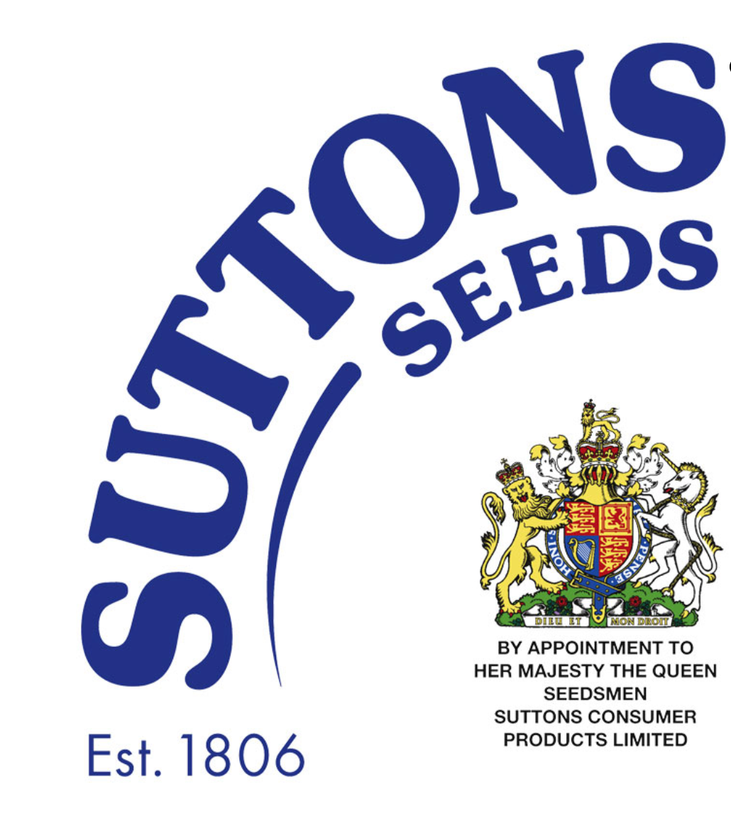 Suttons Sweet Pea Seeds - 3 Varieties