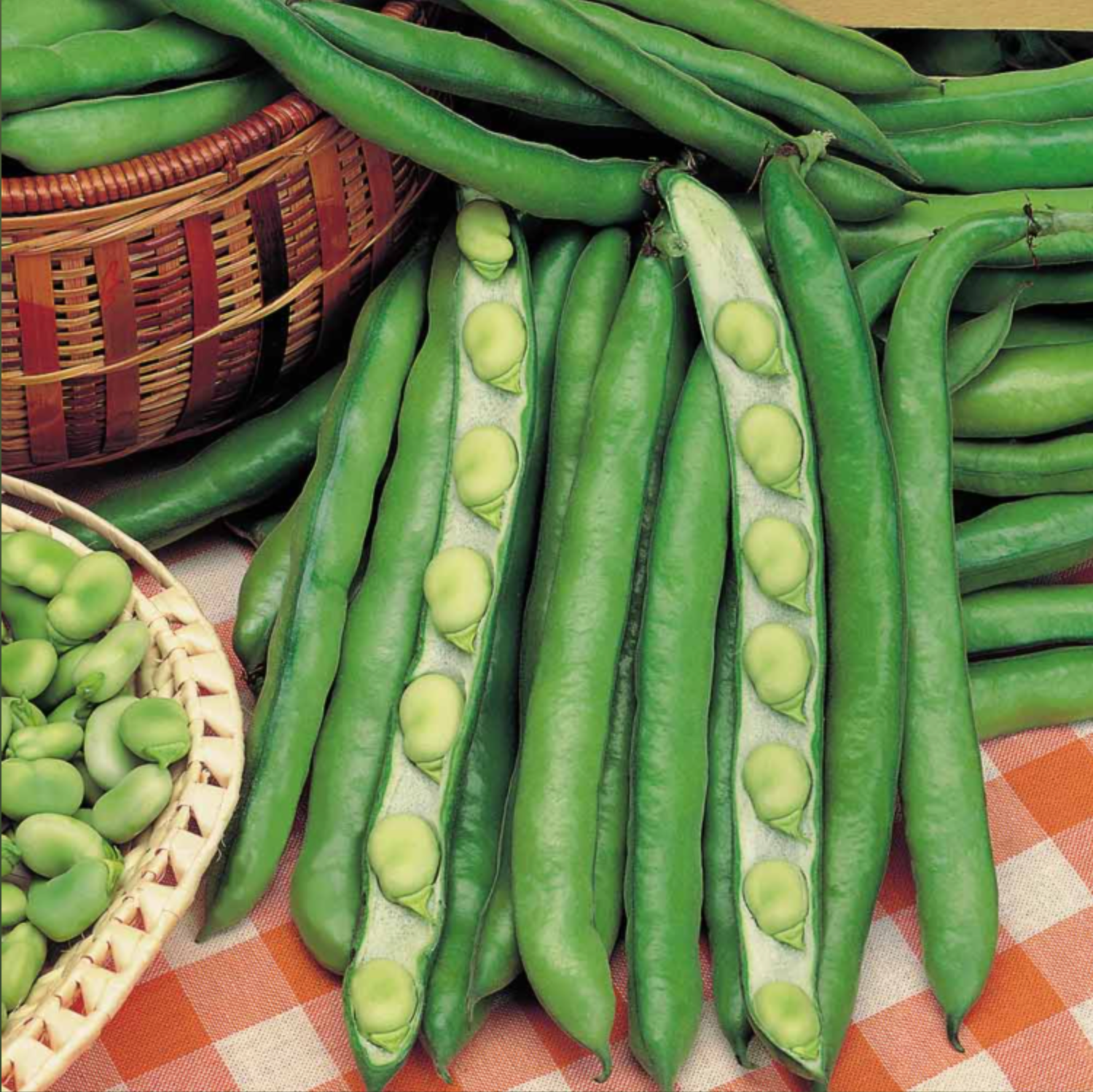 Suttons Broad Bean Seeds - 3 Varieties